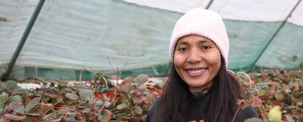A woman standing in a greenhouse full of berry plants wearing a pale pink beanie smiles at the camera