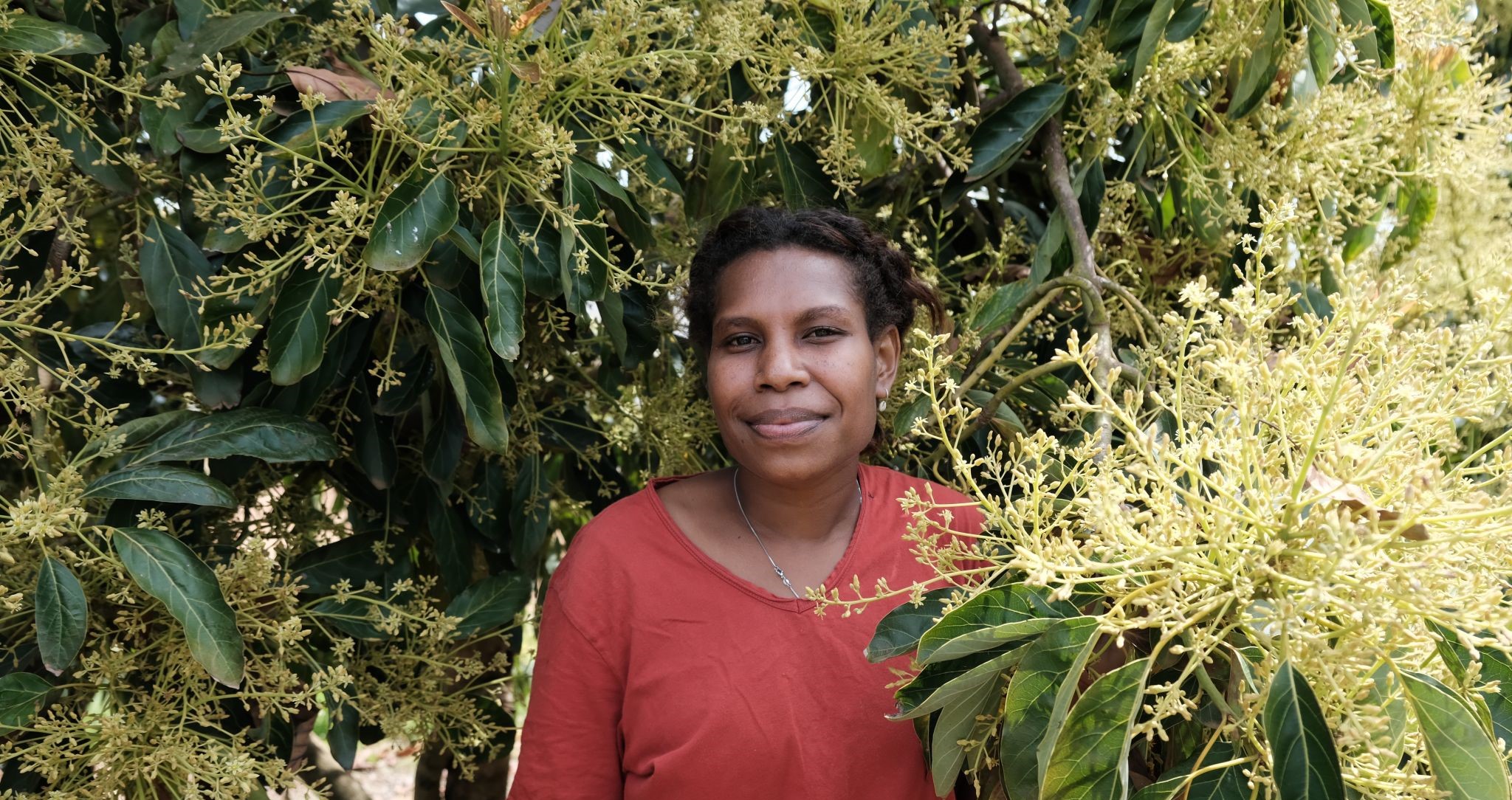Image of PNG PALM scheme worker, Lorrain