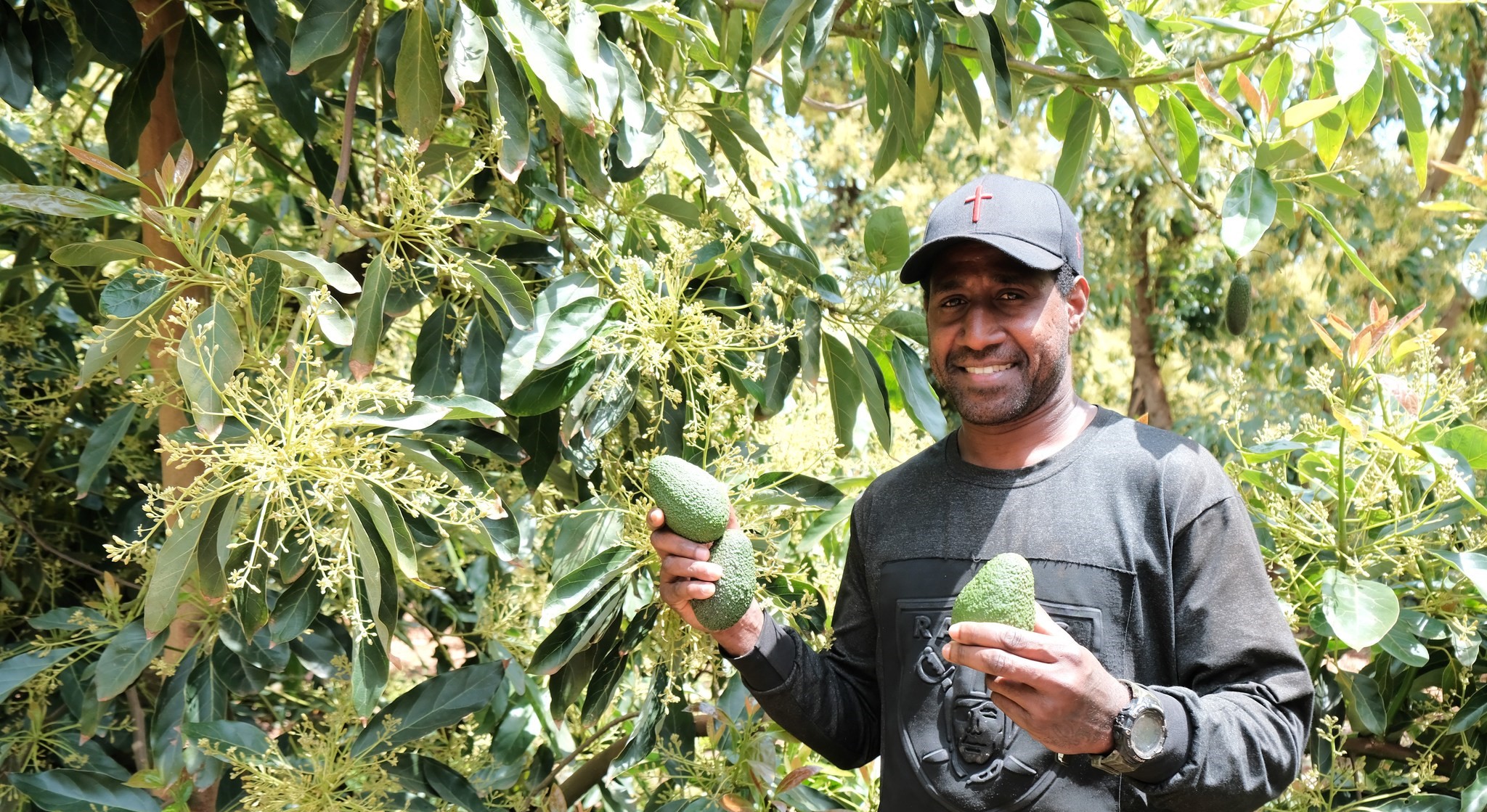 Image of PALM scheme worker 