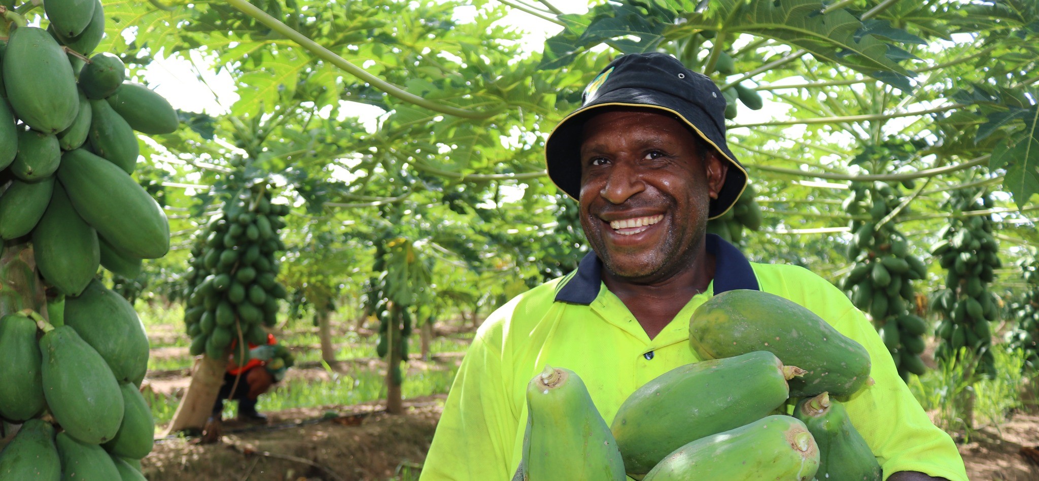 Image of PALM scheme worker 