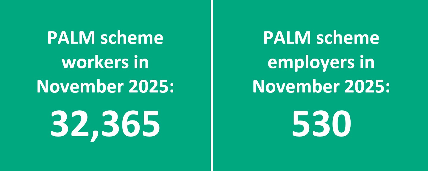 Key PALM scheme worker and employer data - November 2025
