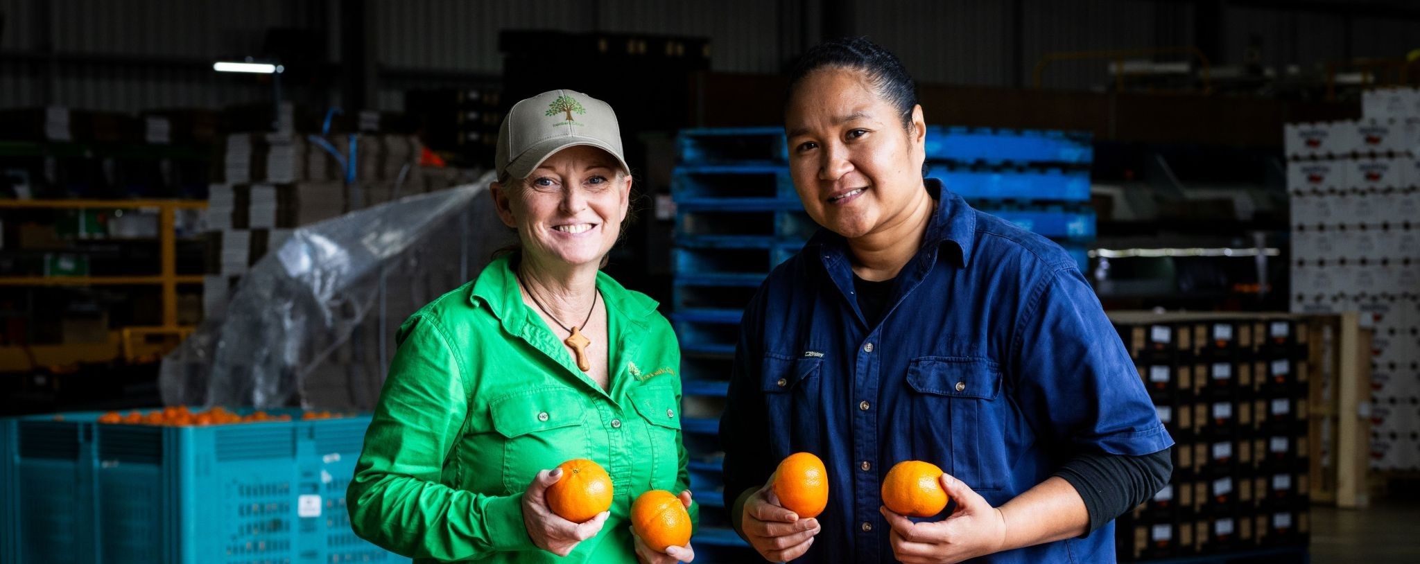 Ironbark Citrus - worker and employer image