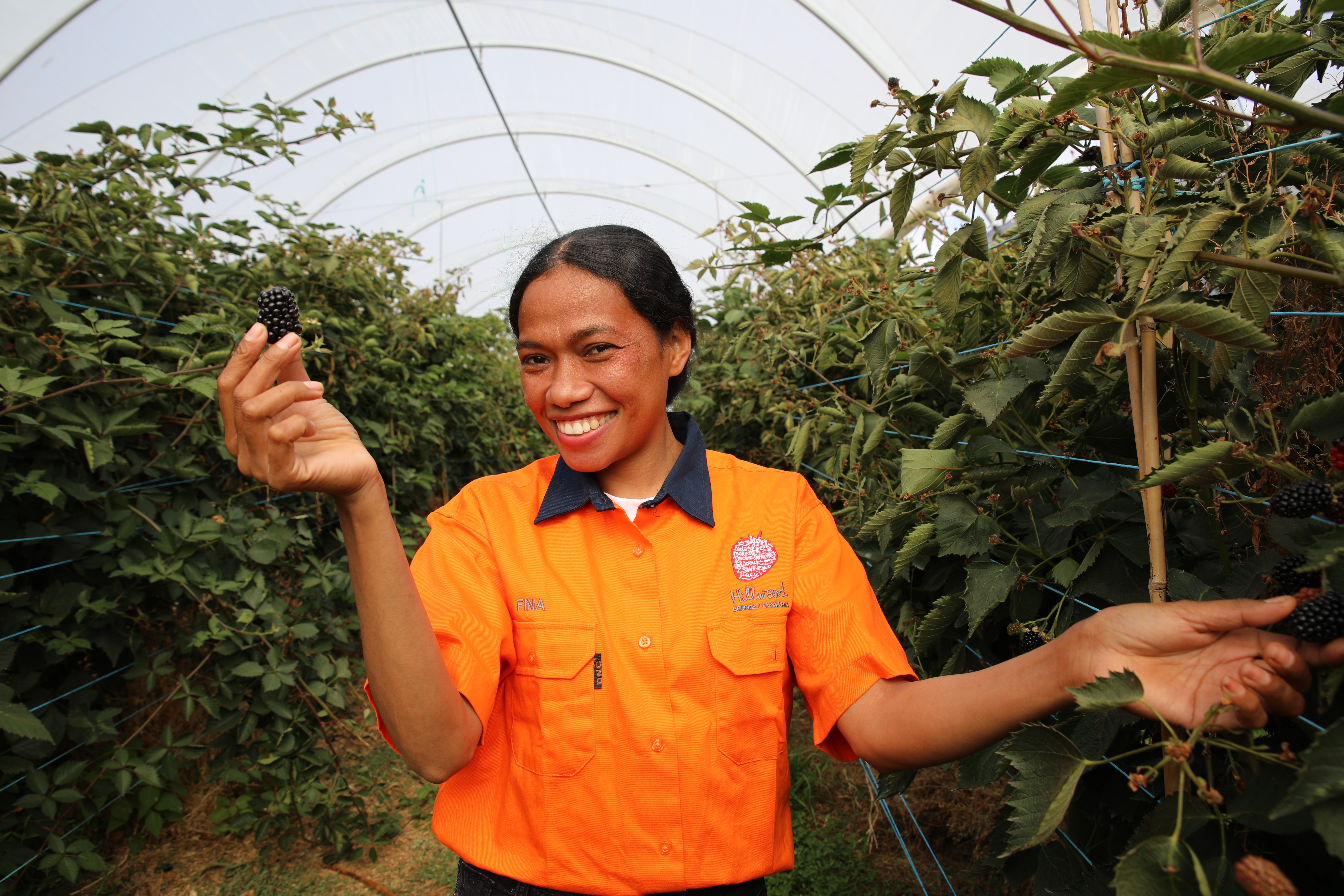 Timor-Leste PALM scheme worker in agriculture
