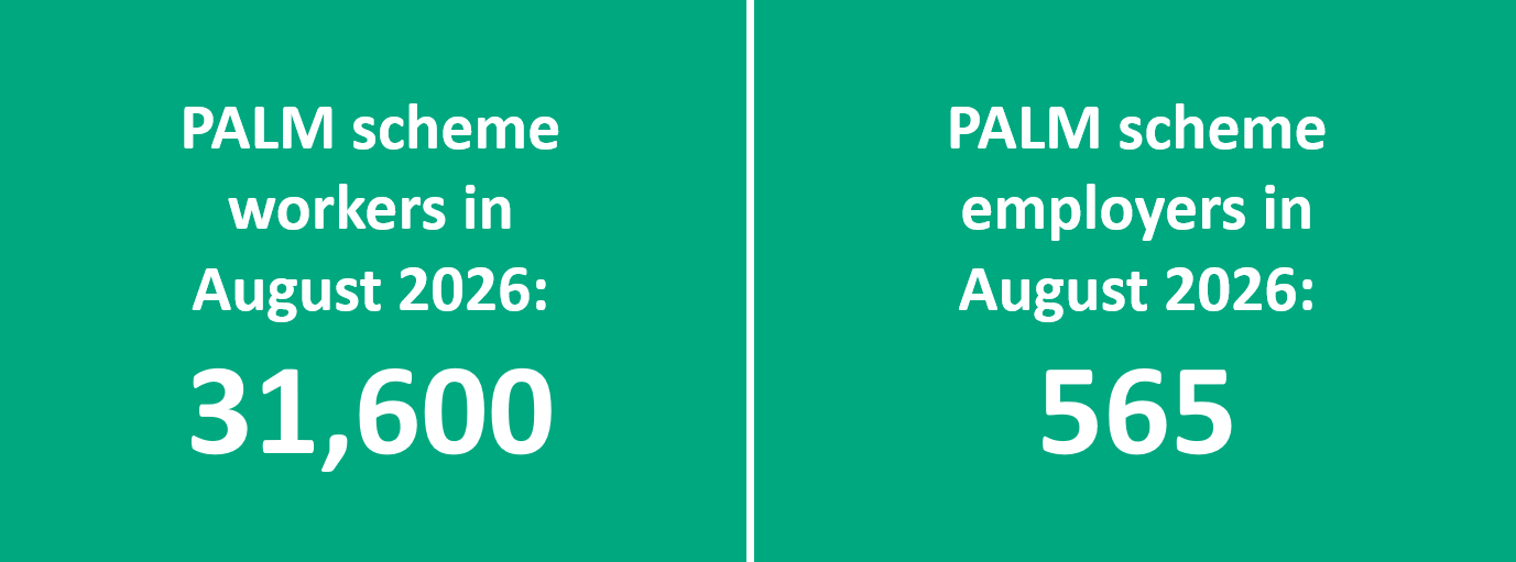 Key PALM scheme worker and employer data as at August 2026