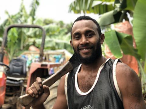 A ni-Vanuatu worker picking bananas at Dotti Farms in Queensland