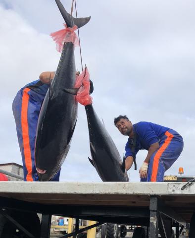 Pacific fisheries workers