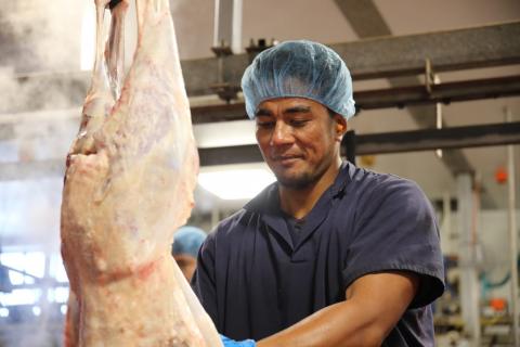 Pacific worker in a meatworks
