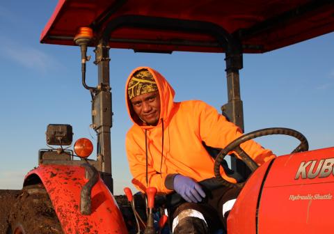 Pacific worker on a tractor