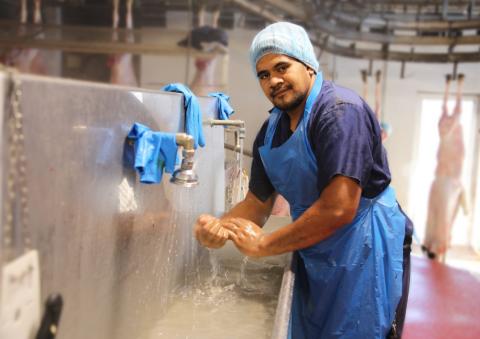 A Samoan worker at Cowra Meat Processing in New South Wales