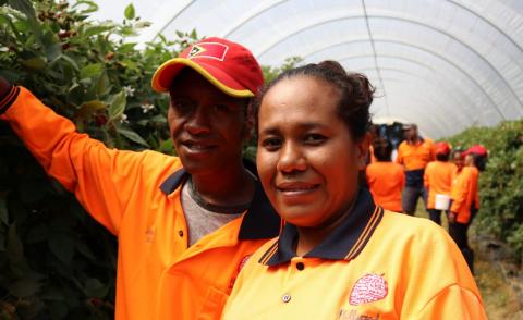 Timor-Leste workers at Hillwood Berries in Tasmania