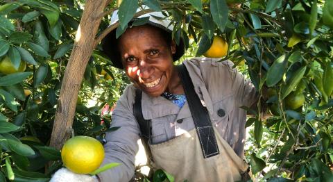 A Pacific worker wearing a bucket hat smiles at the camera as they hold up an orange in the foreground