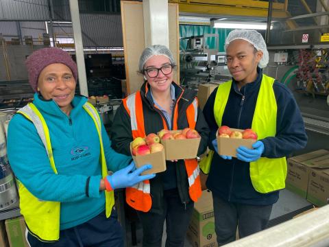 Ni-Vanuatu women wearing high-visibility vests and hair nets