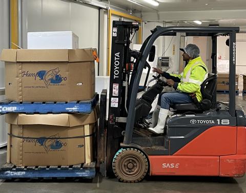 A worker in a high-visibility shirt moves large boxes with a forklift.