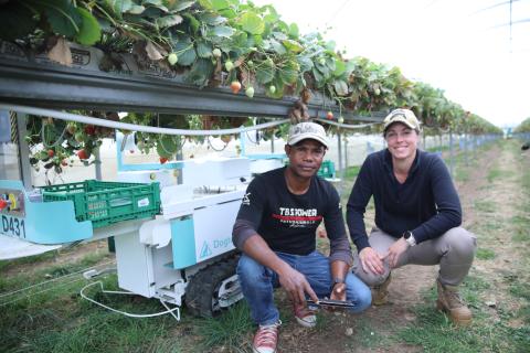Joao dos Santos and Eva Thilderkvist with the berry picking robot at Burlington Berries 