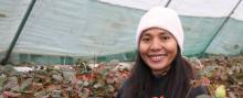 A woman standing in a greenhouse full of berry plants wearing a pale pink beanie smiles at the camera