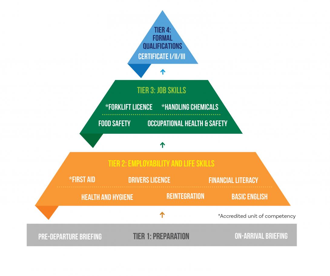 Skills development training diagram